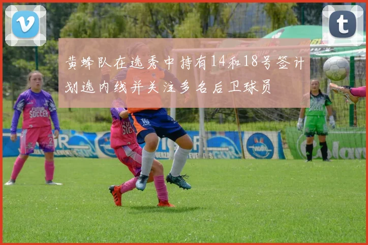 黄蜂队在选秀中持有14和18号签计划选内线并关注多名后卫球员